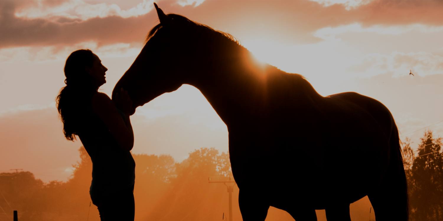 slider-carmelajurado